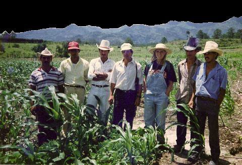 Miskito community, La Ceiba